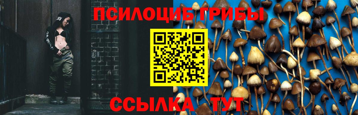 Псилоцибиновые грибы Psilocybine cubensis Киржач