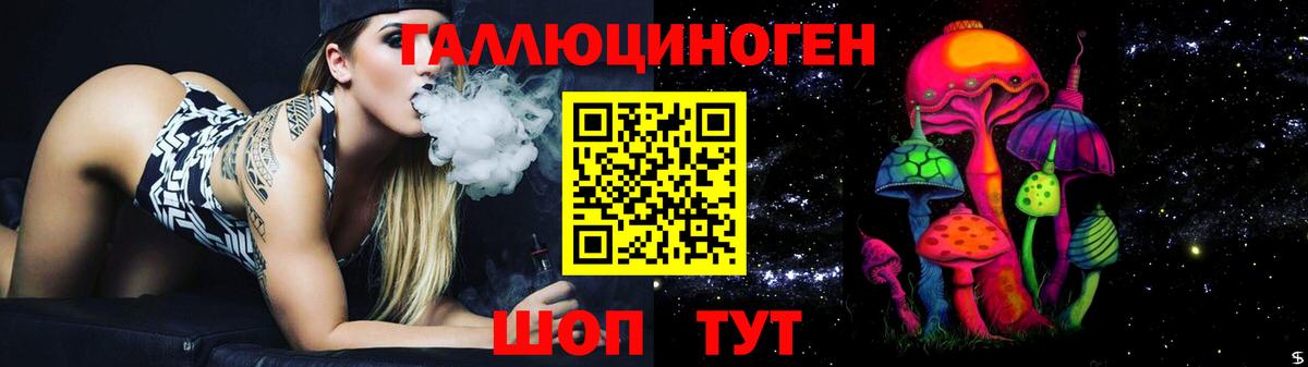 Киржач  Псилоцибиновые грибы MAGIC MUSHROOMS  Вход с VPN 