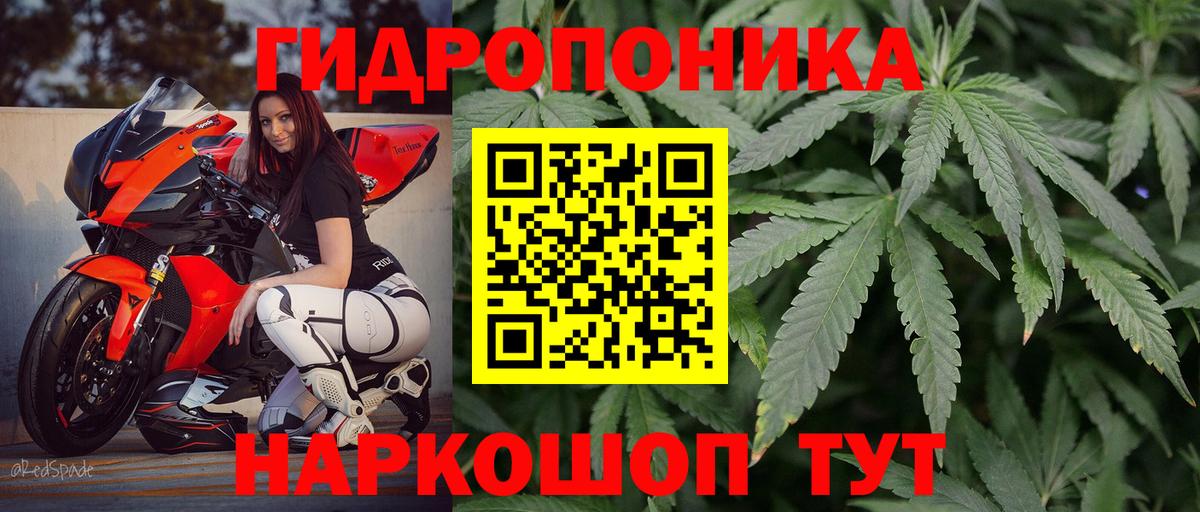 Шишки марихуана сатива  Бошки Шишки Amnesia  Вход с VPN  Киржач 